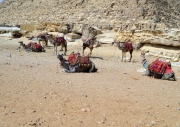 الاهرمات-01
