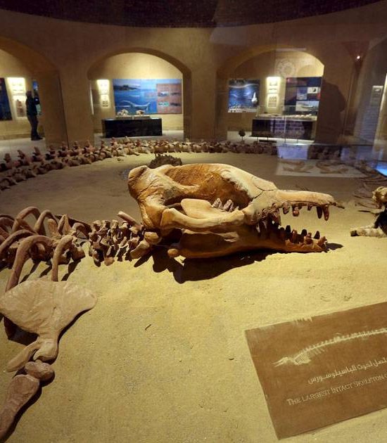 Safari Adventure in Fayoum: Wadi El-Rayan & Wadi Al-Hitan